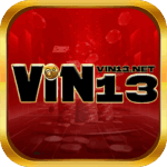 Vin13