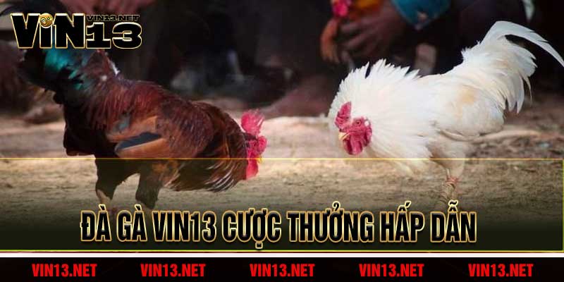 Đà Gà Vin13