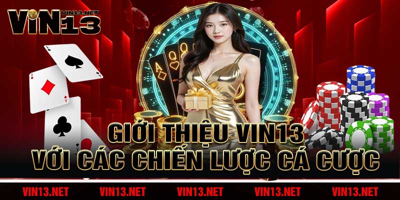 Giới Thiệu Vin13